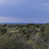 Da qui si riesce a intravedere il mare 